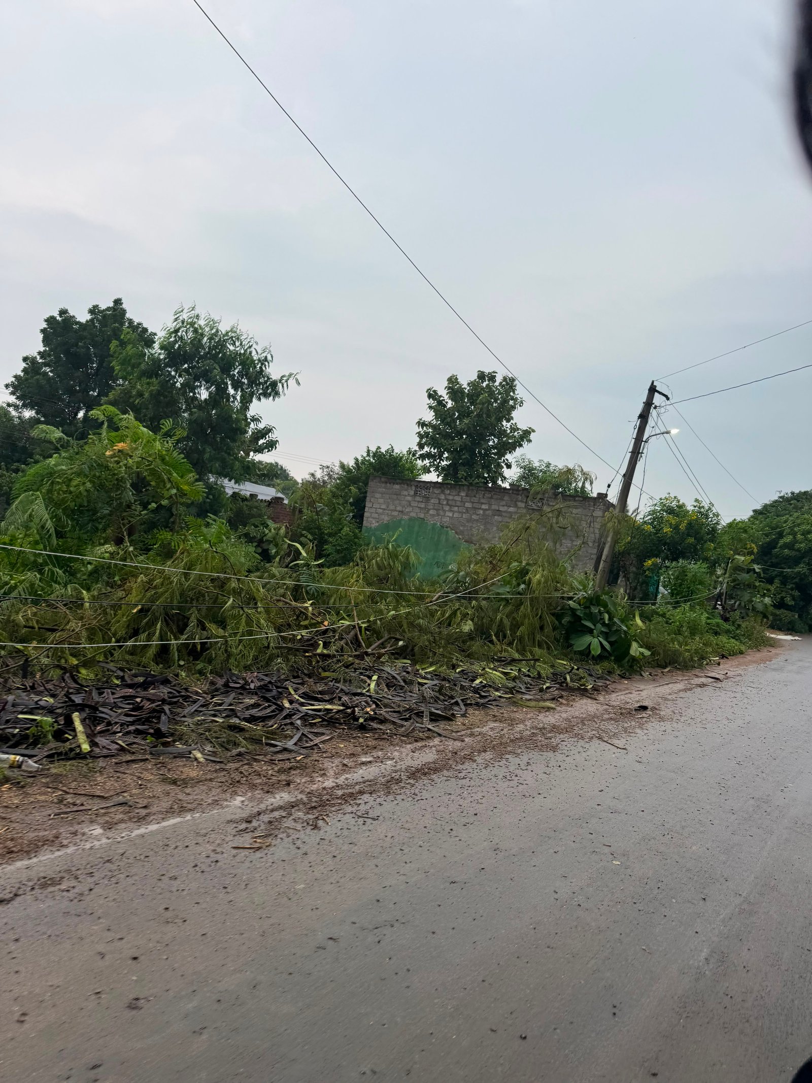 కలెక్టర్ ఆదేశాలకే విలువ లేదా..? - Additional Image