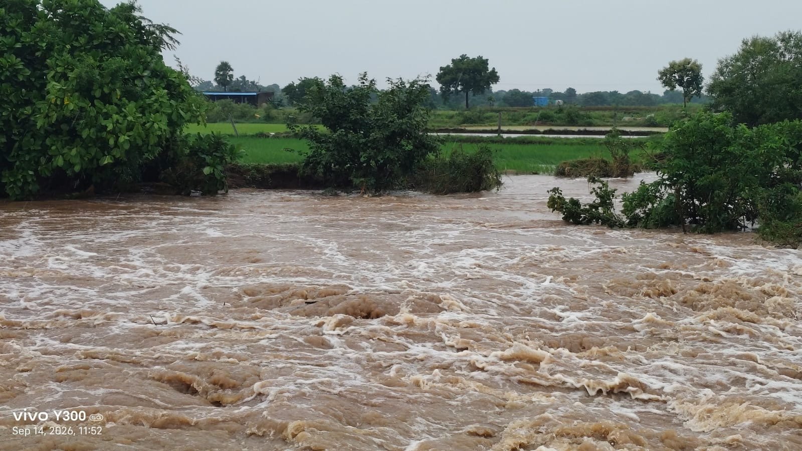 దంచికొట్టిన వాన.. రైతన్నకు గుండె కోత! - Additional Image