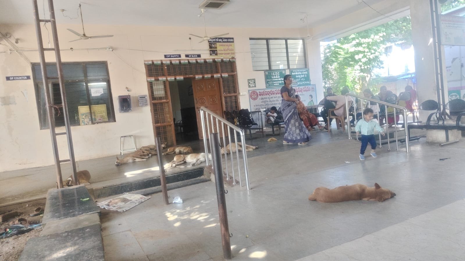 సీకేఎం ఆసుపత్రిలో కుక్కల బెడద - Additional Image